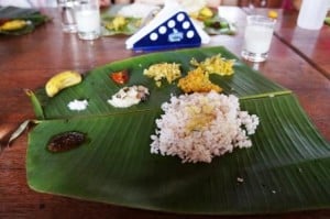 インド16