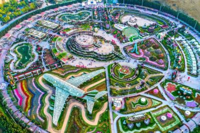 Dubai Miracle Garden 1-12