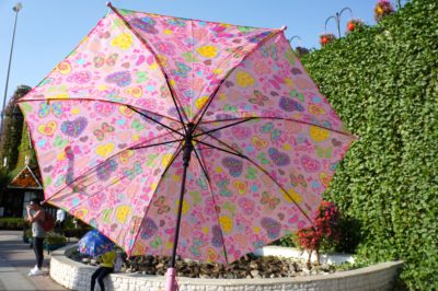 Dubai Miracle Garden 1-16