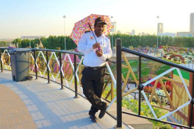 Dubai Miracle Garden 1-17