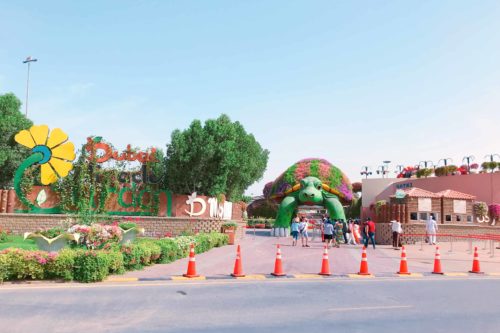 Dubai Miracle Garden ミラクルガーデン