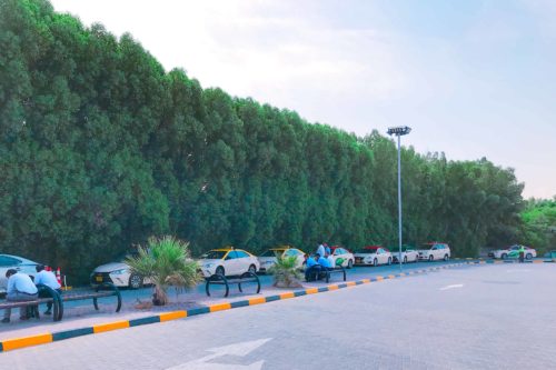 Dubai Miracle Garden ミラクルガーデン
