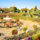 Dubai Miracle Garden ミラクルガーデン