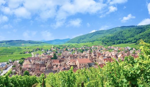 ブドウ畑と城壁に囲まれた、フランスで最も美しい村「リクヴィル」の歩き方