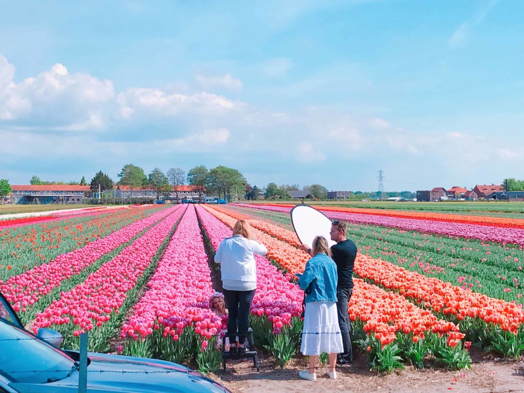 オランダ チューリップ畑 FAM Flower farm